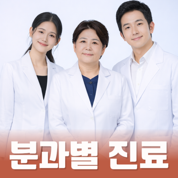 분과별 전문가가 진료를 진행합니다